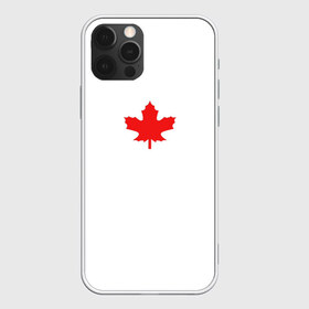 Чехол для iPhone 12 Pro Max с принтом Canada forever , Силикон |  | aesthetic | autum | bts | canada | doomer | lofi | pumkin | абстракция | аниме | канада | киберпанк | листья | осень | текстуры | тыква | эстетика