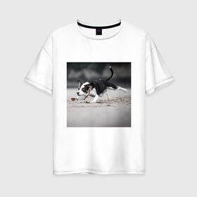 Женская футболка хлопок Oversize с принтом собака , 100% хлопок | свободный крой, круглый ворот, спущенный рукав, длина до линии бедер
 | веселье | животные | мячик | отдых | собака