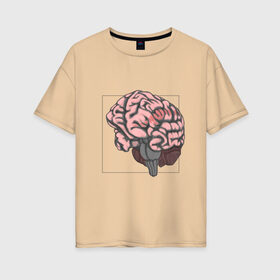 Женская футболка хлопок Oversize с принтом Мозг , 100% хлопок | свободный крой, круглый ворот, спущенный рукав, длина до линии бедер
 | анатомия | мозг | мысли | рамка | ум | цвет