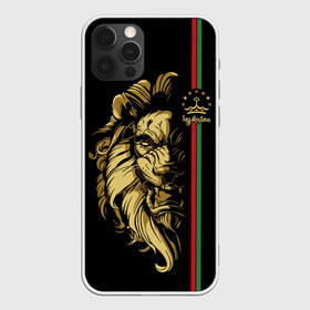 Чехол для iPhone 12 Pro Max с принтом Таджикистан , Силикон |  | crown | evil | golden | islam | lion | republic | stars | tajikistan | звезды | злой | золотой | ислам | корона | лев | республика | таджикистан