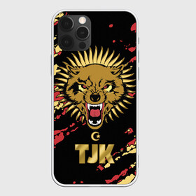 Чехол для iPhone 12 Pro Max с принтом Таджикистан , Силикон |  | Тематика изображения на принте: crescent | evil | golden | islam | republic | sun | tajikistan | wolf | волк | злой | золотой | ислам | полумесяц | республика | солнце | таджикистан