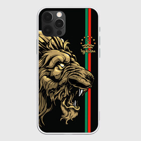 Чехол для iPhone 12 Pro Max с принтом Таджикистан , Силикон |  | crown | evil | golden | islam | lion | republic | stars | tajikistan | звезды | злой | золотой | ислам | корона | лев | республика | таджикистан