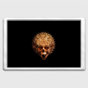 Магнит 45*70 с принтом Golden skull | 1.2 , Пластик | Размер: 78*52 мм; Размер печати: 70*45 | 
