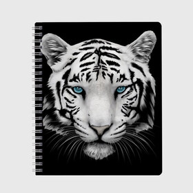 Тетрадь с принтом Белый тигр , 100% бумага | 48 листов, плотность листов — 60 г/м2, плотность картонной обложки — 250 г/м2. Листы скреплены сбоку удобной пружинной спиралью. Уголки страниц и обложки скругленные. Цвет линий — светло-серый
 | Тематика изображения на принте: белый тигр | крупный тигр | крупным планом | с голубыми глазами | тигры