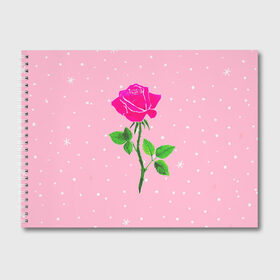 Альбом для рисования с принтом Роза на розовом , 100% бумага
 | матовая бумага, плотность 200 мг. | женственно | красота | роза | розовый | снежинки | фуксия | цветок | шик