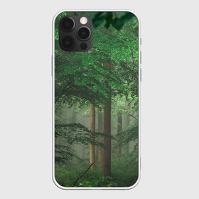 Чехол для iPhone 12 Pro Max с принтом Тропический лес , Силикон |  | Тематика изображения на принте: деревья | джунгли | зеленый лес | зелень | лес | тропики | тропический лес