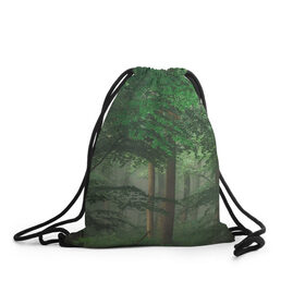 Рюкзак-мешок 3D с принтом Тропический лес , 100% полиэстер | плотность ткани — 200 г/м2, размер — 35 х 45 см; лямки — толстые шнурки, застежка на шнуровке, без карманов и подкладки | деревья | джунгли | зеленый лес | зелень | лес | тропики | тропический лес