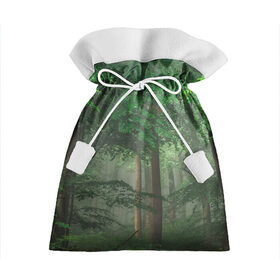 Подарочный 3D мешок с принтом Тропический лес , 100% полиэстер | Размер: 29*39 см | деревья | джунгли | зеленый лес | зелень | лес | тропики | тропический лес