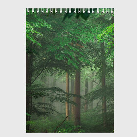 Скетчбук с принтом Тропический лес , 100% бумага
 | 48 листов, плотность листов — 100 г/м2, плотность картонной обложки — 250 г/м2. Листы скреплены сверху удобной пружинной спиралью | деревья | джунгли | зеленый лес | зелень | лес | тропики | тропический лес
