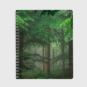 Тетрадь с принтом Тропический лес , 100% бумага | 48 листов, плотность листов — 60 г/м2, плотность картонной обложки — 250 г/м2. Листы скреплены сбоку удобной пружинной спиралью. Уголки страниц и обложки скругленные. Цвет линий — светло-серый
 | деревья | джунгли | зеленый лес | зелень | лес | тропики | тропический лес
