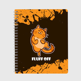 Тетрадь с принтом КОТ - FLUFF OFF / Отвали , 100% бумага | 48 листов, плотность листов — 60 г/м2, плотность картонной обложки — 250 г/м2. Листы скреплены сбоку удобной пружинной спиралью. Уголки страниц и обложки скругленные. Цвет линий — светло-серый
 | cat | cats | fluff | kitten | kitty | off | иди | кот | котенок | котик | котики | коты | котята | кошечка | кошечки | кошка | кошки | мем | мемы | отвали | отстань | пошел | прикол | приколы | уйди