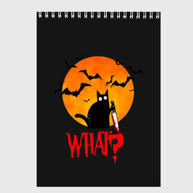 Скетчбук с принтом What Cat (Halloween) , 100% бумага
 | 48 листов, плотность листов — 100 г/м2, плотность картонной обложки — 250 г/м2. Листы скреплены сверху удобной пружинной спиралью | cat | cats | halloween | moon | what | кот | котенок | коты | котяра | кошак | кошка | летучая | луна | мышь | нож | пушистый | хэллоуин | что