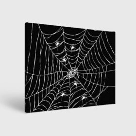 Холст прямоугольный с принтом Паутина с пауками , 100% ПВХ |  | black and white | darkness | halloween | horror | night | spider | web | готика | жуки | жуткий | мальчикам | насекомые | нечисть | нити | ночные | ночь | пауки | паутина | подарок | сетка | страшный | темный | тьма | хеллоуин | хоррор