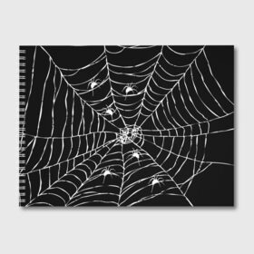 Альбом для рисования с принтом Паутина с пауками , 100% бумага
 | матовая бумага, плотность 200 мг. | Тематика изображения на принте: black and white | darkness | halloween | horror | night | spider | web | готика | жуки | жуткий | мальчикам | насекомые | нечисть | нити | ночные | ночь | пауки | паутина | подарок | сетка | страшный | темный | тьма | хеллоуин | хоррор