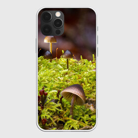 Чехол для iPhone 12 Pro Max с принтом Мох , Силикон |  | гриб | грибы | дерево | деревья | зелёные | зелёный | зелень | лес | леса | лесной | мох | мхи | пенёк | пеньки | пни | поганка | поганки | природа | природный | флора