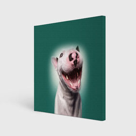 Холст квадратный с принтом Bully , 100% ПВХ |  | Тематика изображения на принте: bull terrier | ears | eyes | fangs | jaw | muzzle | nose | smile | бультерьер | глаза | клыки | нос | пасть | улыбка | уши