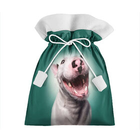 Подарочный 3D мешок с принтом Bully , 100% полиэстер | Размер: 29*39 см | bull terrier | ears | eyes | fangs | jaw | muzzle | nose | smile | бультерьер | глаза | клыки | нос | пасть | улыбка | уши