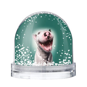 Снежный шар с принтом Bully , Пластик | Изображение внутри шара печатается на глянцевой фотобумаге с двух сторон | bull terrier | ears | eyes | fangs | jaw | muzzle | nose | smile | бультерьер | глаза | клыки | нос | пасть | улыбка | уши