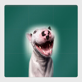 Магнитный плакат 3Х3 с принтом Bully , Полимерный материал с магнитным слоем | 9 деталей размером 9*9 см | Тематика изображения на принте: bull terrier | ears | eyes | fangs | jaw | muzzle | nose | smile | бультерьер | глаза | клыки | нос | пасть | улыбка | уши