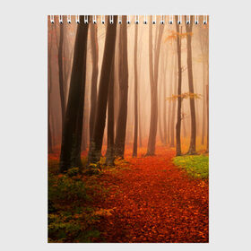 Скетчбук с принтом Осенний лес , 100% бумага
 | 48 листов, плотность листов — 100 г/м2, плотность картонной обложки — 250 г/м2. Листы скреплены сверху удобной пружинной спиралью | деревья | лес | листва | осенний лес | осень | природа