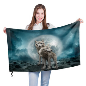 Флаг 3D с принтом Волки альбиносы , 100% полиэстер | плотность ткани — 95 г/м2, размер — 67 х 109 см. Принт наносится с одной стороны | альбинос | волк | волки | волчата | волчонок | зверь