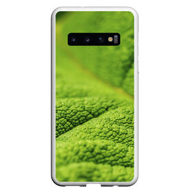 Чехол для Samsung Galaxy S10 с принтом Зеленый лист , Силикон | Область печати: задняя сторона чехла, без боковых панелей | Тематика изображения на принте: зеленый лист | зелень | лист | листик | макро