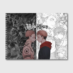 Альбом для рисования с принтом Jujutsu Kaisen Сукуна х Юдзи , 100% бумага
 | матовая бумага, плотность 200 мг. | Тематика изображения на принте: anime | black | cursed spirit | demon | evil | good | itadori yuji | magic battle | shaman | sukuna | white | ying yang | аниме | белое | годжо сатору | демон | добро | зло | инь ян | итадори юдзи | кугисаки | магическая битва | проклятый дух | рёмен суку