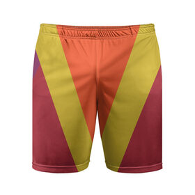 Мужские шорты спортивные с принтом Винтаж 2.0 ,  |  | винтаж | зима | осень | ссср | теплые цвета