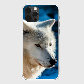 Чехол для iPhone 12 Pro Max с принтом Северный волк , Силикон |  | wolf | wolfs | волк | волки | волчара | животные | звери | лес | природа