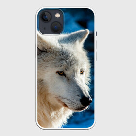Чехол для iPhone 13 с принтом Волк на черном фоне ,  |  | Тематика изображения на принте: wolf | wolfs | волк | волки | волчара | животные | звери | лес | природа