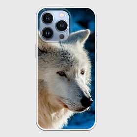 Чехол для iPhone 13 Pro с принтом Волк на черном фоне ,  |  | Тематика изображения на принте: wolf | wolfs | волк | волки | волчара | животные | звери | лес | природа