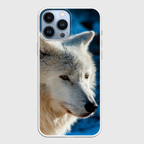 Чехол для iPhone 13 Pro Max с принтом Волк на черном фоне ,  |  | Тематика изображения на принте: wolf | wolfs | волк | волки | волчара | животные | звери | лес | природа