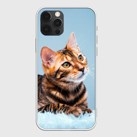 Чехол для iPhone 12 Pro Max с принтом Бенгальский кот , Силикон |  | Тематика изображения на принте: cat | животные | звири | кис | киска | кот | котейка | котик | коты | котяра | кошка | кошки | природа