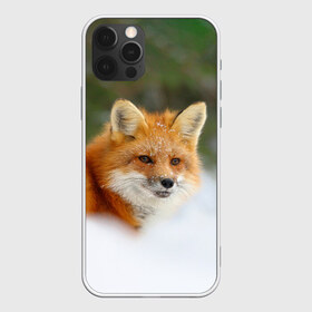 Чехол для iPhone 12 Pro Max с принтом Лисичка в снегу , Силикон |  | fox | foxy | животные | звери | зима | зимняя | лиса | лисичка | лисы | природа | снег | снежная