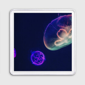 Магнит 55*55 с принтом Фантастическая медуза , Пластик | Размер: 65*65 мм; Размер печати: 55*55 мм | медуза | медуза в море | морская медуза | плавающая медуза | светящаяся медуза