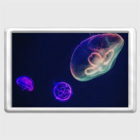 Магнит 45*70 с принтом Фантастическая медуза , Пластик | Размер: 78*52 мм; Размер печати: 70*45 | медуза | медуза в море | морская медуза | плавающая медуза | светящаяся медуза