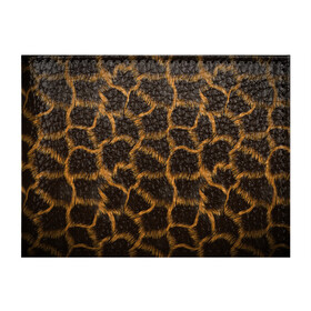 Обложка для студенческого билета с принтом Леопард , натуральная кожа | Размер: 11*8 см; Печать на всей внешней стороне | Тематика изображения на принте: леопард | леопардовые пятна | пятна леопарда