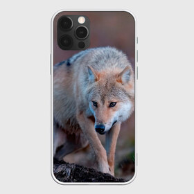 Чехол для iPhone 12 Pro Max с принтом Волк , Силикон |  | wolf | wolfs | волк | волки | волчара | животные | звери | лес | природа