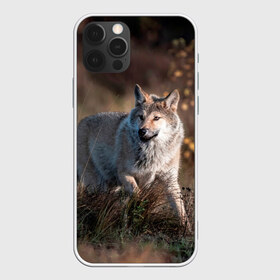 Чехол для iPhone 12 Pro Max с принтом WOLF , Силикон |  | wolf | wolfs | волк | волки | волчара | животные | звери | лес | природа