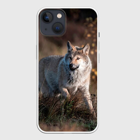 Чехол для iPhone 13 с принтом WOLF ,  |  | Тематика изображения на принте: wolf | wolfs | волк | волки | волчара | животные | звери | лес | природа