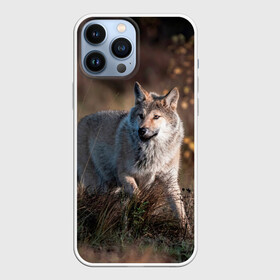 Чехол для iPhone 13 Pro Max с принтом WOLF ,  |  | Тематика изображения на принте: wolf | wolfs | волк | волки | волчара | животные | звери | лес | природа