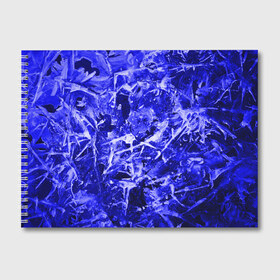 Альбом для рисования с принтом Dark Blue Gan , 100% бумага
 | матовая бумага, плотность 200 мг. | Тематика изображения на принте: abstraction | blue | frost | frozen | ice | shine | surface | texture | абстракция | блеск | замерзший | лед | мороз | поверхность | синий | текстура