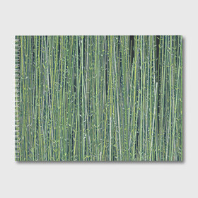 Альбом для рисования с принтом Зеленый бамбук , 100% бумага
 | матовая бумага, плотность 200 мг. | bamboo | forest | stripes | бамбук | заросли | лес | листья | полосы | растения