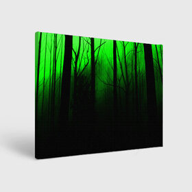 Холст прямоугольный с принтом G-loomy , 100% ПВХ |  | Тематика изображения на принте: fog | forest | gloomy | green fog | night | radiation | trees | деревья | зеленый туман | лес | мрачный | ночь | радиация | туман
