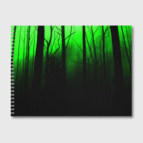 Альбом для рисования с принтом G-loomy , 100% бумага
 | матовая бумага, плотность 200 мг. | Тематика изображения на принте: fog | forest | gloomy | green fog | night | radiation | trees | деревья | зеленый туман | лес | мрачный | ночь | радиация | туман