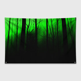 Флаг-баннер с принтом G-loomy , 100% полиэстер | размер 67 х 109 см, плотность ткани — 95 г/м2; по краям флага есть четыре люверса для крепления | fog | forest | gloomy | green fog | night | radiation | trees | деревья | зеленый туман | лес | мрачный | ночь | радиация | туман