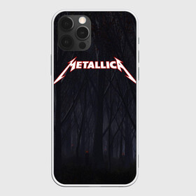 Чехол для iPhone 12 Pro с принтом Metallica , силикон | область печати: задняя сторона чехла, без боковых панелей | metallica | rok | джеймс хэтфилд | кирк хэммет | ларс ульрих | металика | металл | металлика | музыка | рок | рок группа