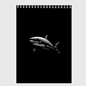 Скетчбук с принтом Акула , 100% бумага
 | 48 листов, плотность листов — 100 г/м2, плотность картонной обложки — 250 г/м2. Листы скреплены сверху удобной пружинной спиралью | акула | акулы | морские животные | рыбы | хищники