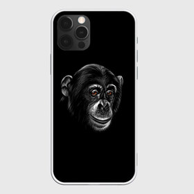Чехол для iPhone 12 Pro Max с принтом Обезьяна , Силикон |  | животные | обезьяна | обезьяны | приматы | шимпанзе