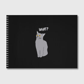 Альбом для рисования с принтом What cat , 100% бумага
 | матовая бумага, плотность 200 мг. | Тематика изображения на принте: cat | kitten | kitty | what кот | британская кошка | британский кот | в смысле | взгляд | вопрос | вопросительный знак | глаза кота | животные | кот мем | котенок | котик | котята | кошак | кошка | мемы